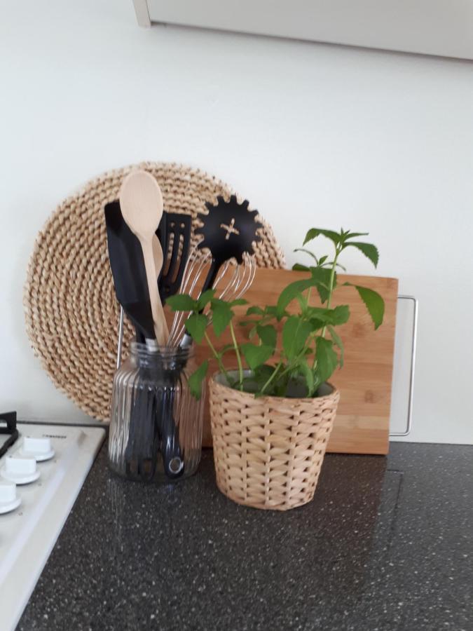 KrachtighuizenNo5别墅 外观 照片